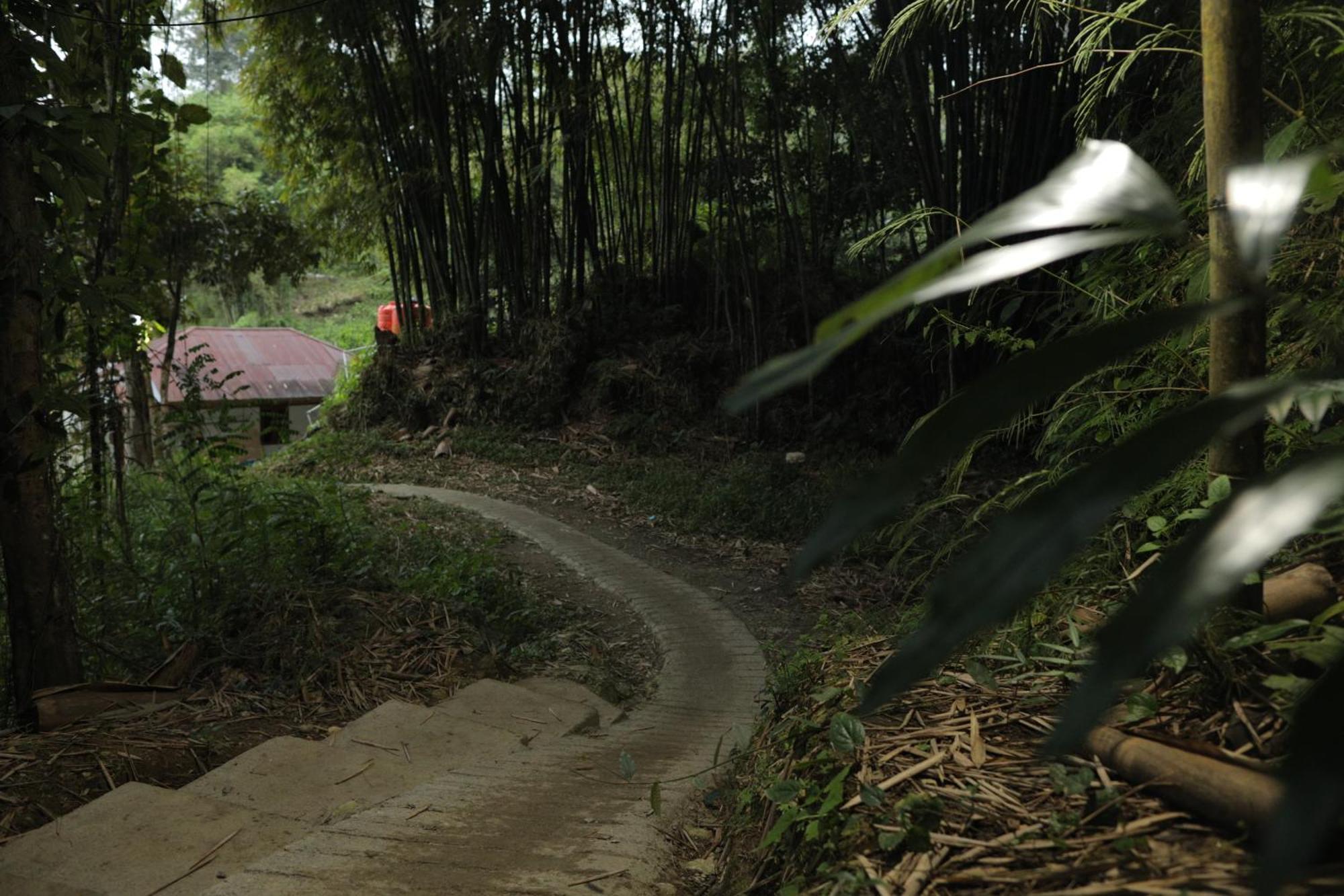 Mama Tia Family Homestay Rantepao Ngoại thất bức ảnh