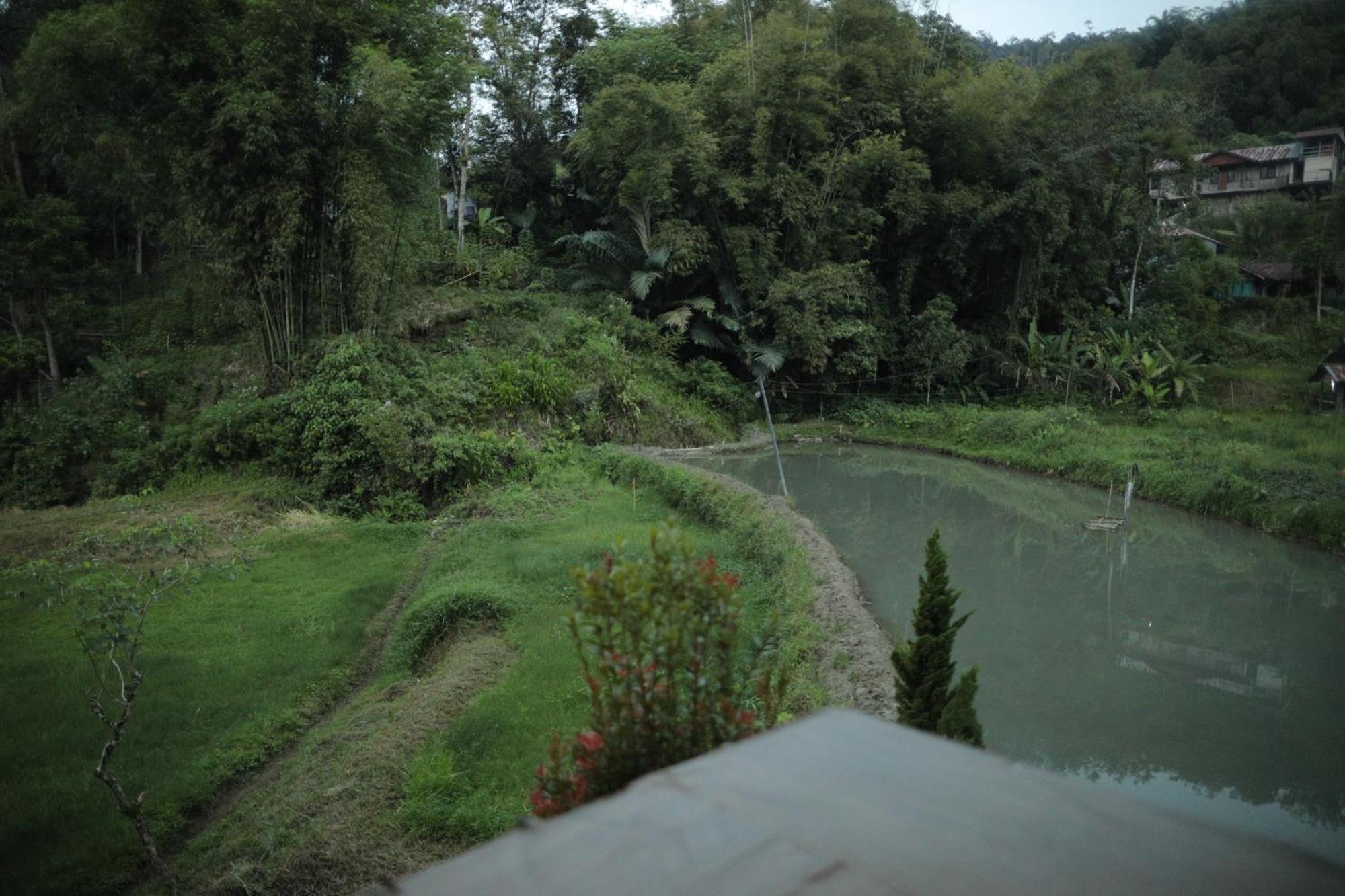 Mama Tia Family Homestay Rantepao Ngoại thất bức ảnh