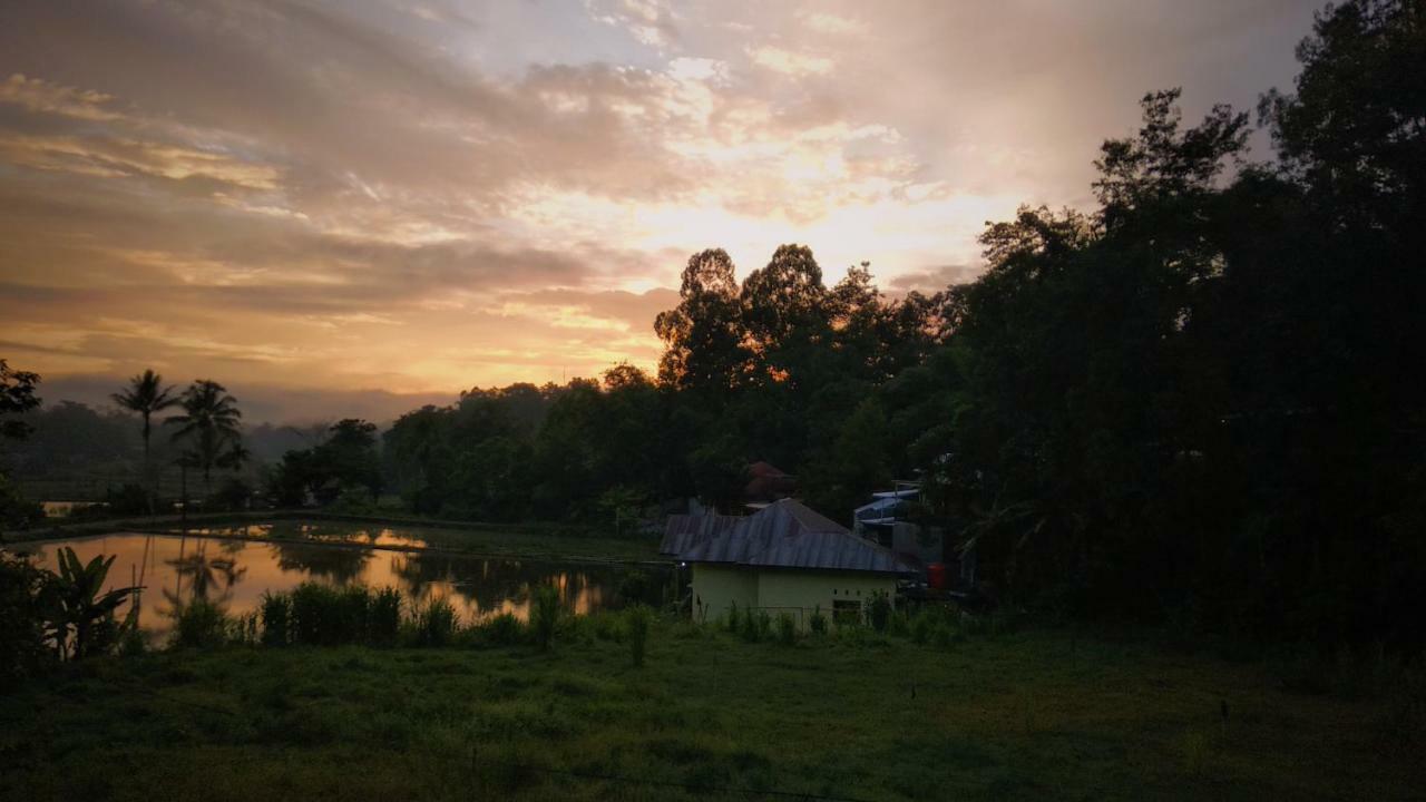 Mama Tia Family Homestay Rantepao Ngoại thất bức ảnh